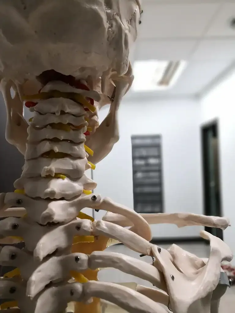 Osteopatia Helsinki – kenelle siitä on apua?